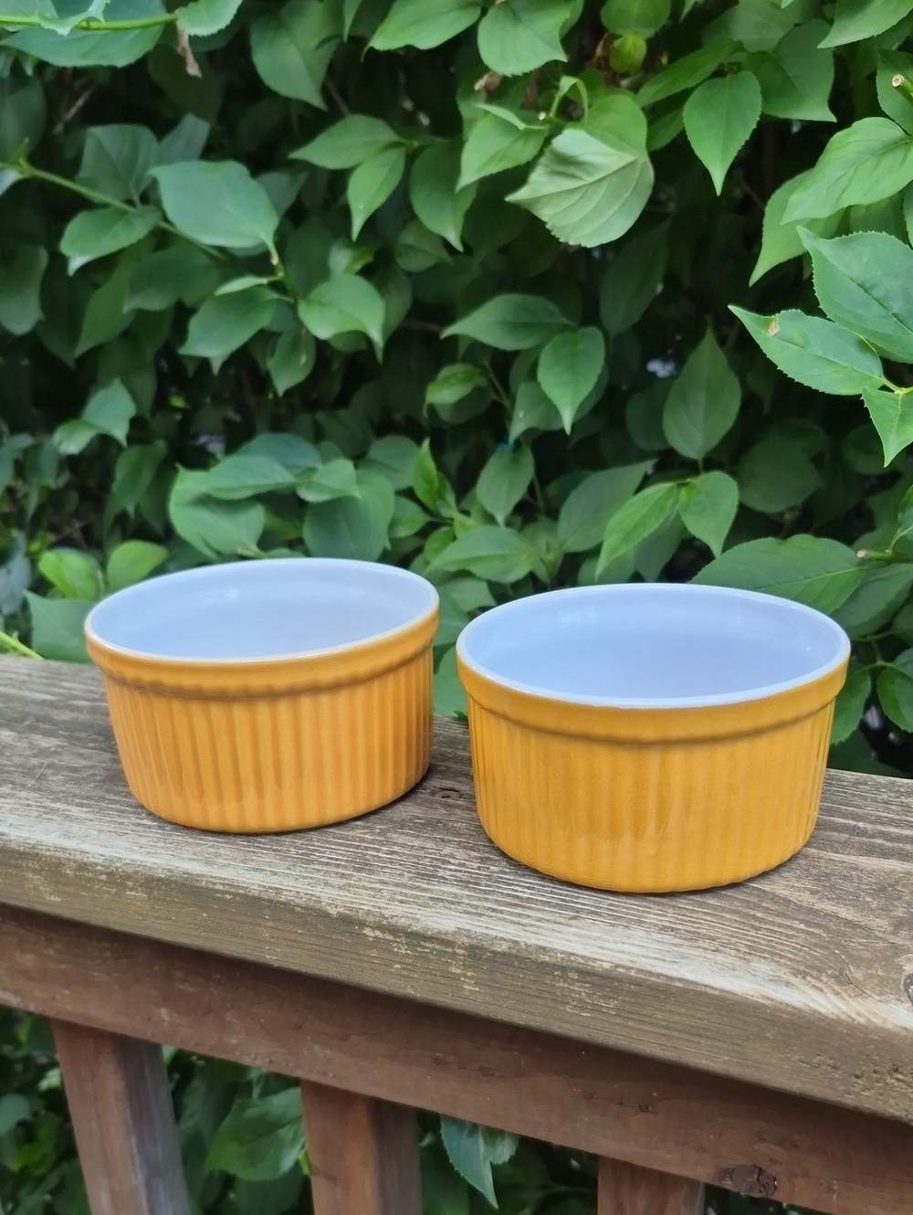 Emile Henry France Ramkins Set Of 2